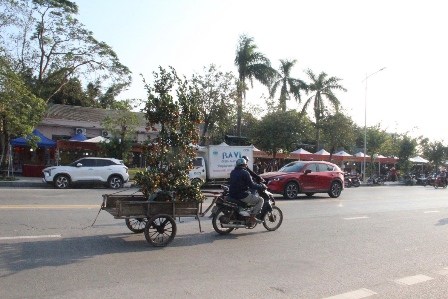 Nghệ An: Phiên chợ Xuân Tết Bính Ngọ năm 2026 Hội tụ tinh hoa ẩm thực vùng miền