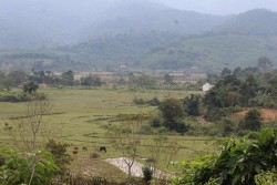 CÔ GIÁO VỀ BẢN