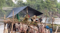 Ngư dân huyện Muang Khong tỉnh Champasak vào mùa đánh bắt cá