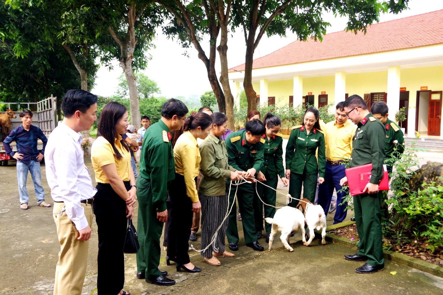 Quân khu 4 tặng bò và dê giống cho gia đình có hoàn cảnh khó khăn