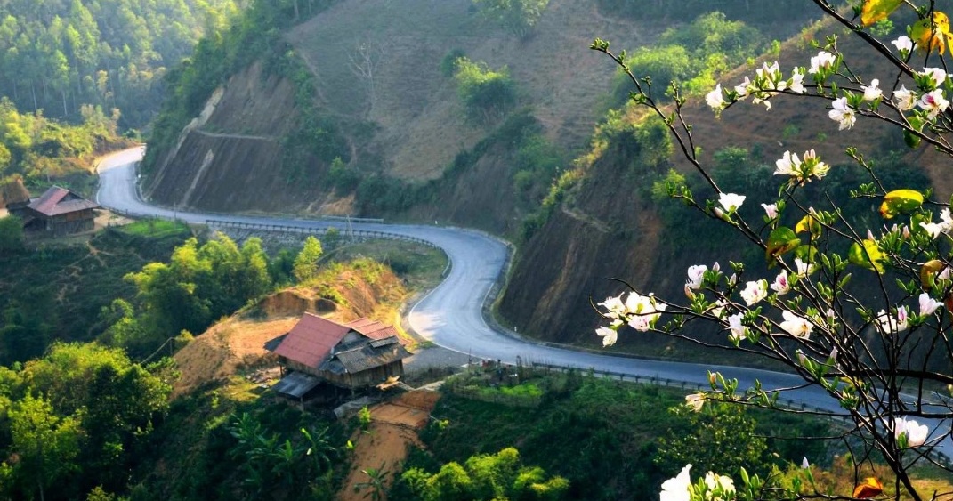 Chùm thơ mới sáng tác của Nhà thơ Hoàng Cẩm Thạch